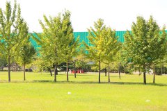 北京朝阳长青园陵园（骨灰林）各葬式现在什么价格？2024年价格表最新
