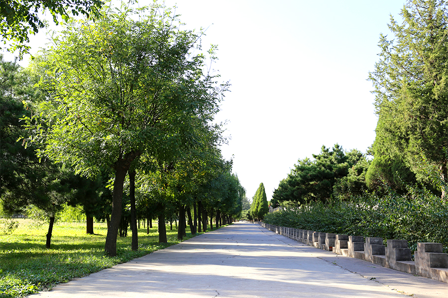 道路风景