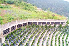 巴南燕尾山公墓价格多少？燕尾山公墓价格表最新