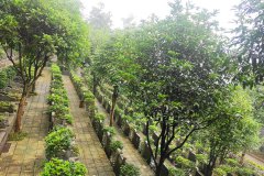 重庆市南岸四公里公墓价格多少？重庆南岸四公里公墓价格表最新