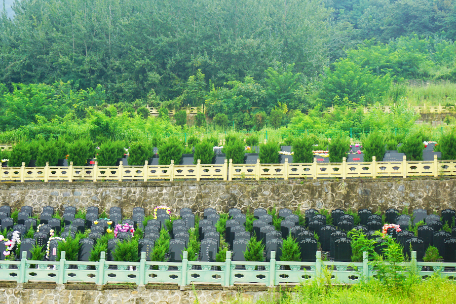墓区