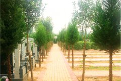 郑州便宜墓地有哪些？郑州便宜墓地价格多少钱