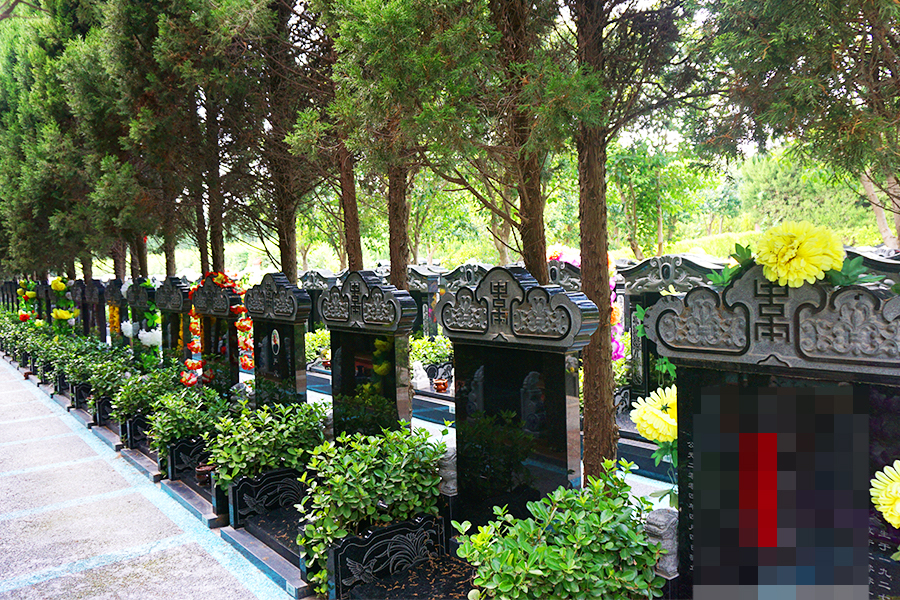 墓地环境