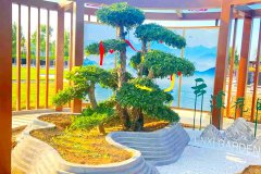 保定永安公墓生态葬及其他葬式价格是多少钱？