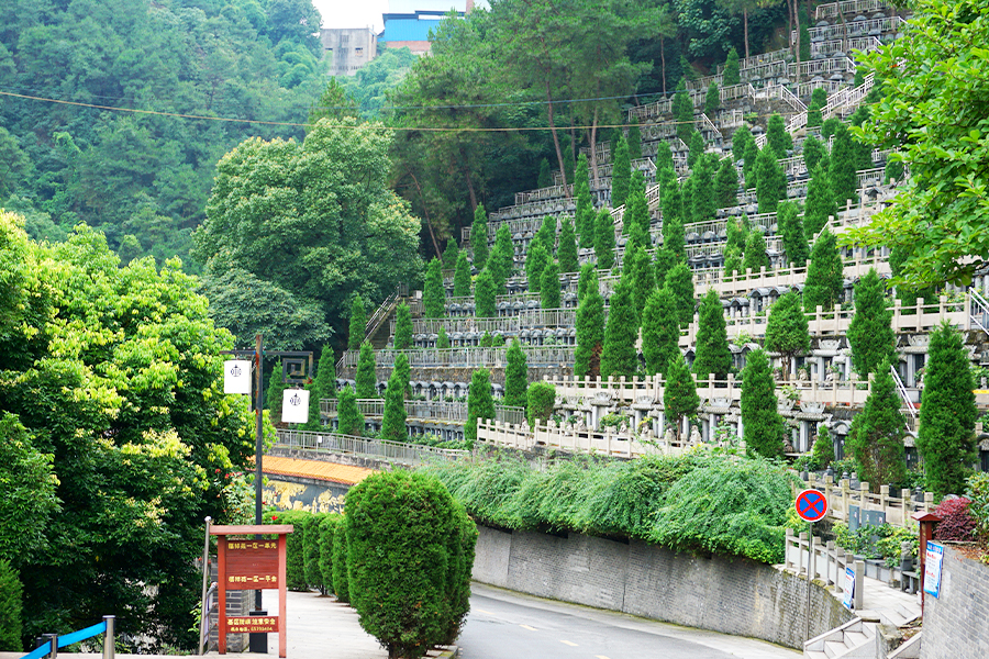 墓区实拍