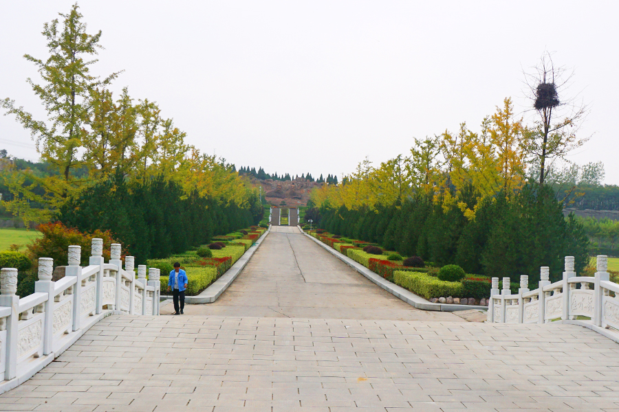 陵园道路绿化