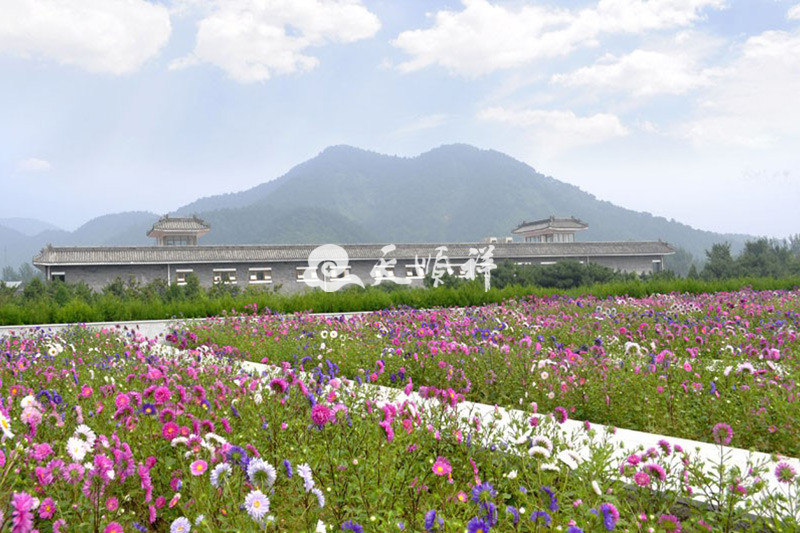 万佛园植被景观