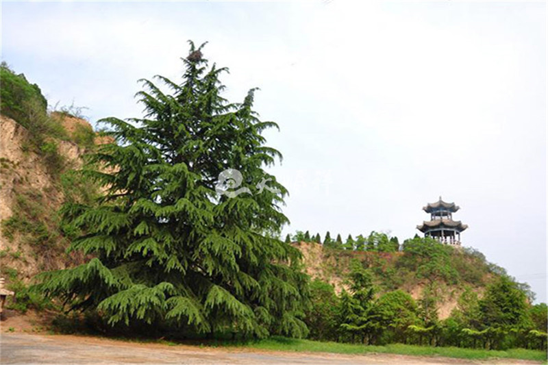 园区周边山势