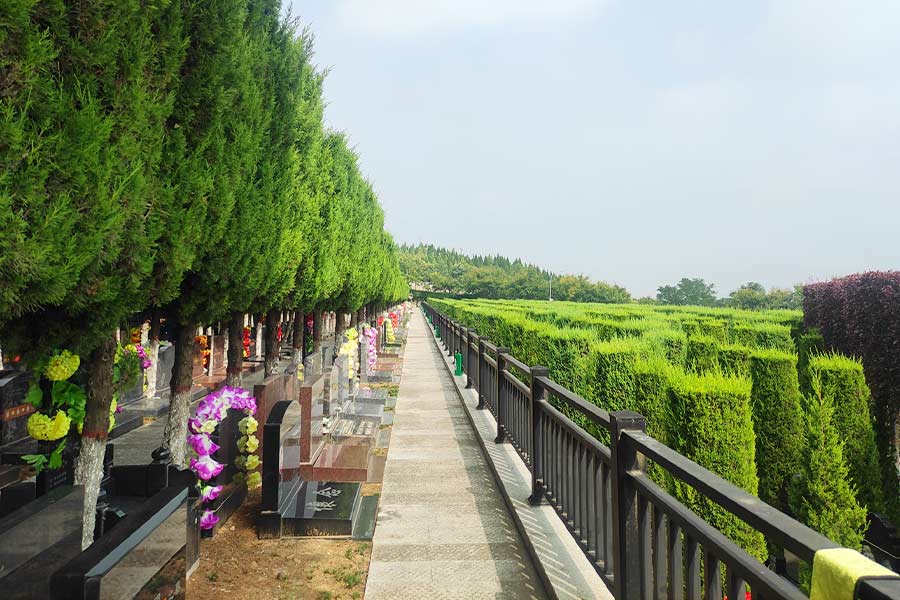 陵园墓区风景