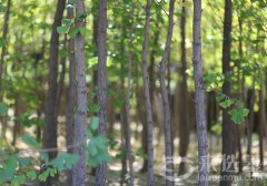 大兴天堂公墓咨询电话多少？大兴天堂公墓墓地价格多少