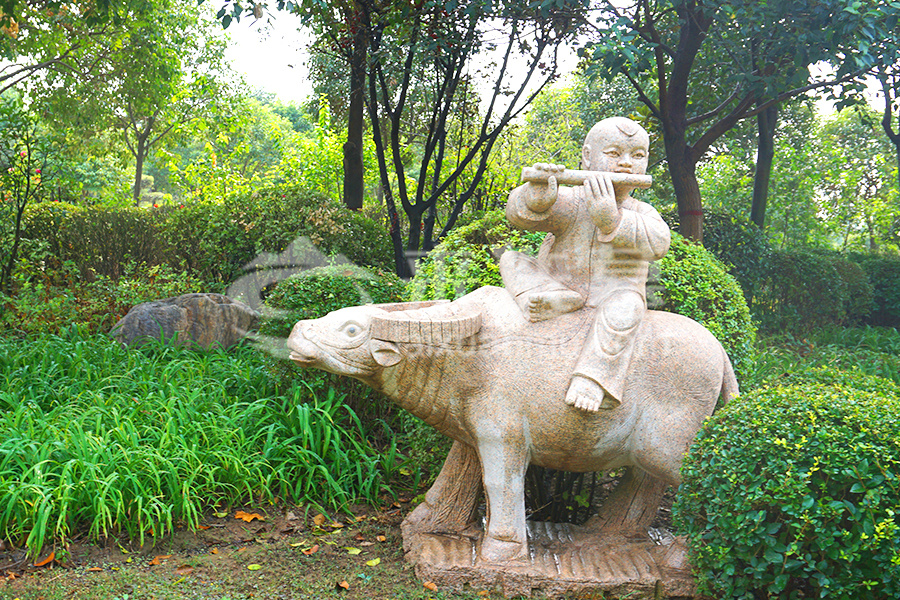 绿化景观