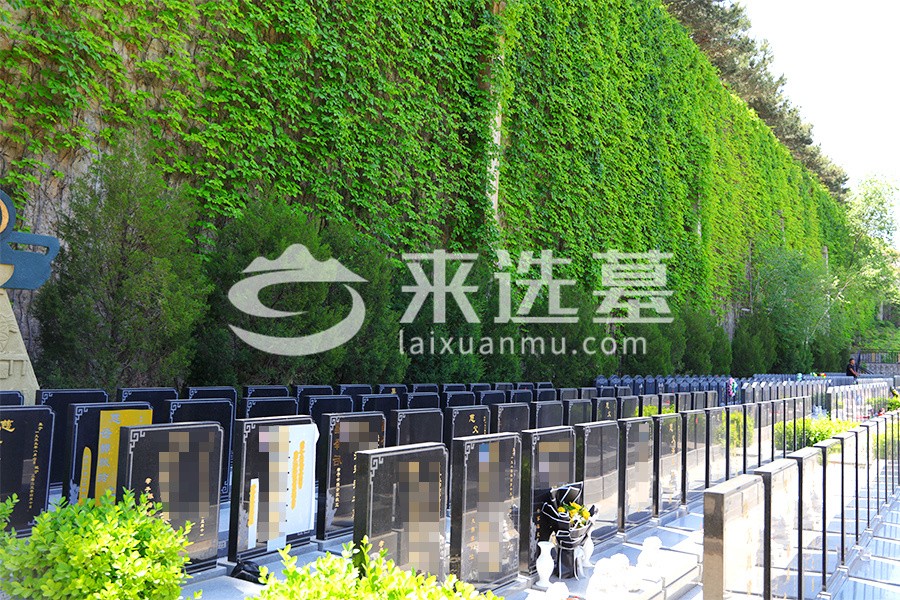 陵园墓区