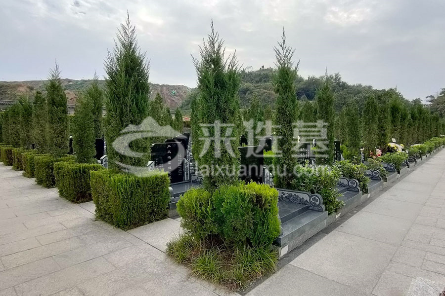 陵园墓区绿化