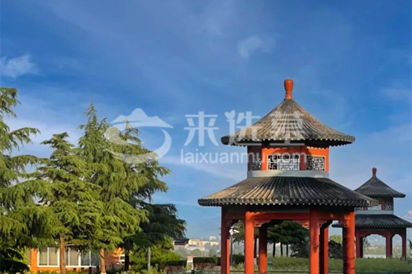 陵园绿化