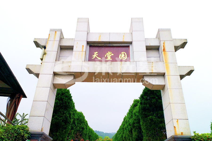 陵园环境