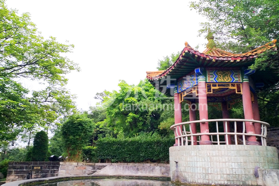 陵园环境