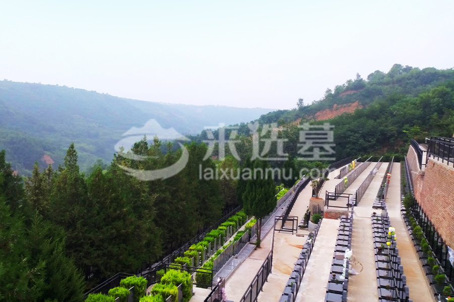 墓区环境