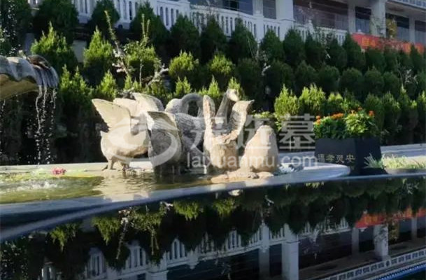 陵园风景