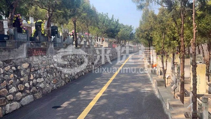 陵园墓区道路