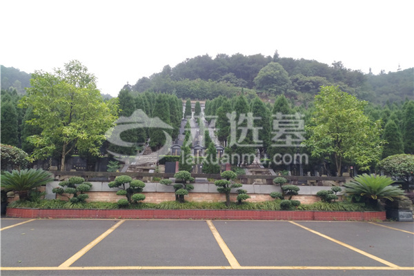 陵园环境
