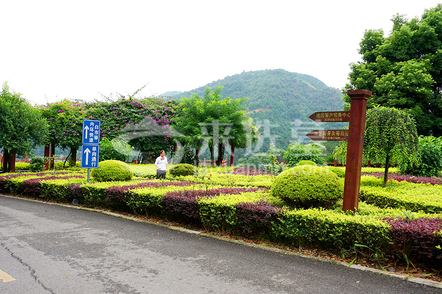 墓园风景