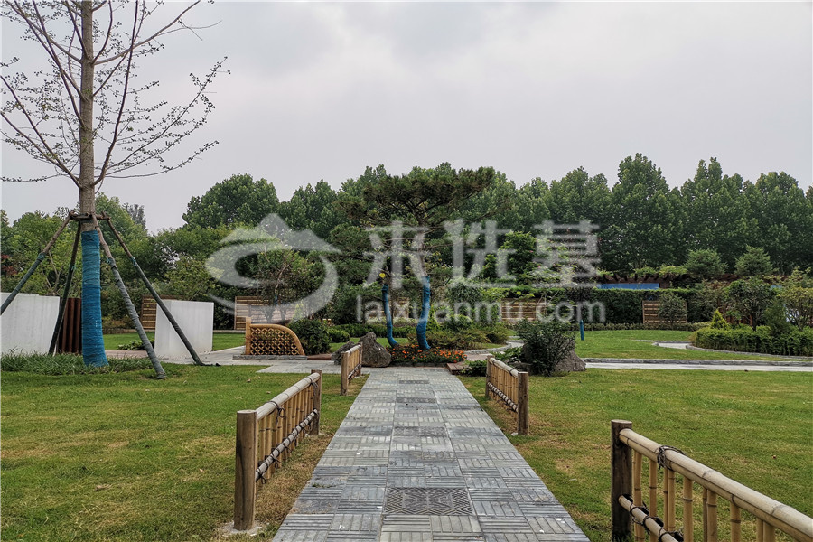 陵园一角
