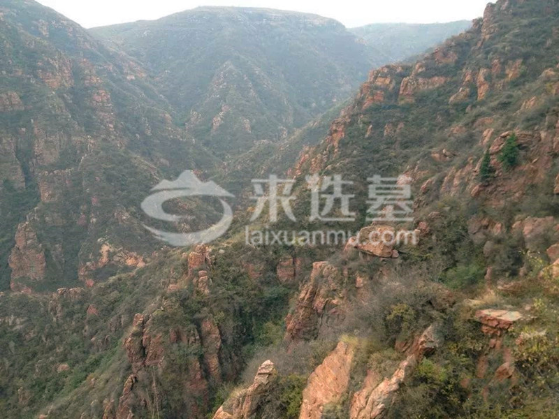 陵园环境