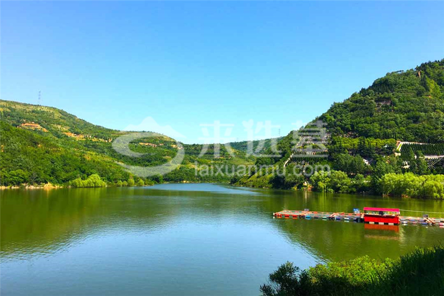 陵园风景