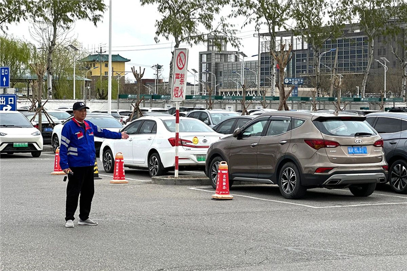 在“俸伯P+R停车场”，工作人员引导祭扫市民有序停放车辆