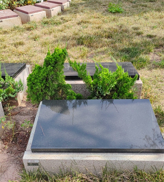 节地葬
