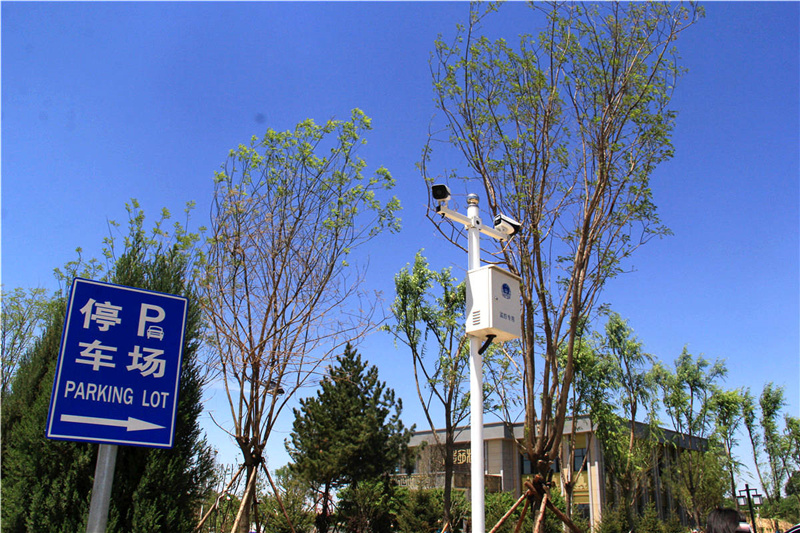 陵园绿化