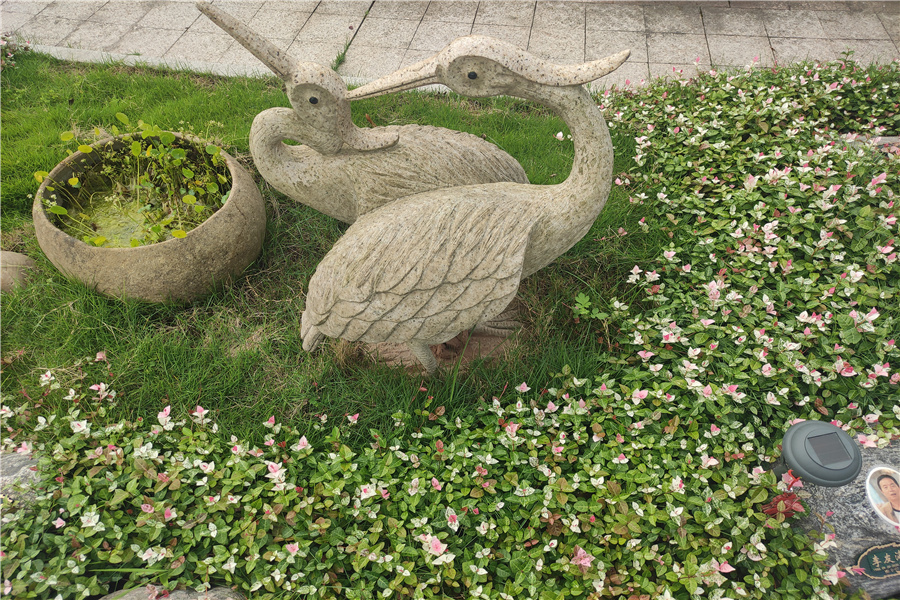 陵园景观