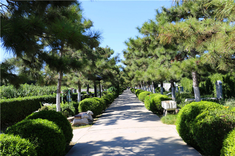 道路风景