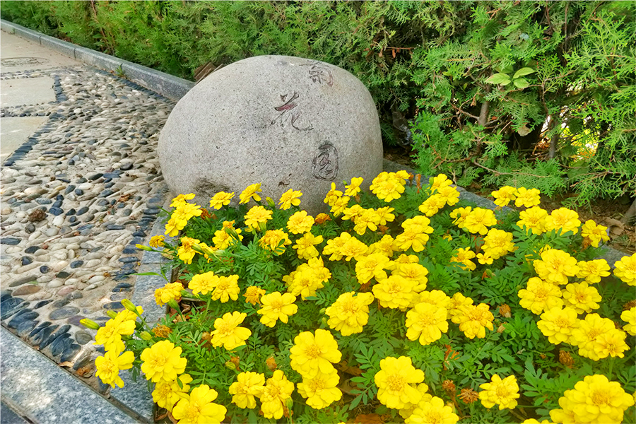 房山墓园环境