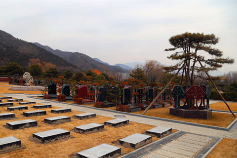 廊坊清颐园公墓植树葬轻松如土为安,告别20年限制