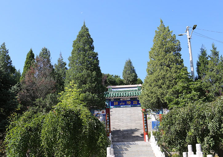 陵园绿化