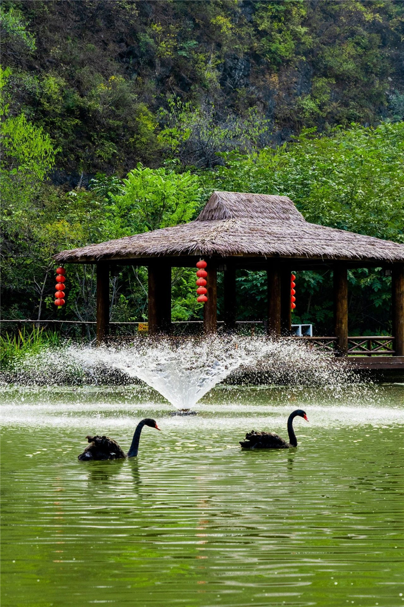 陵园环境