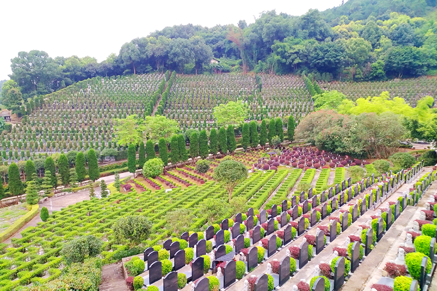 陵园墓区