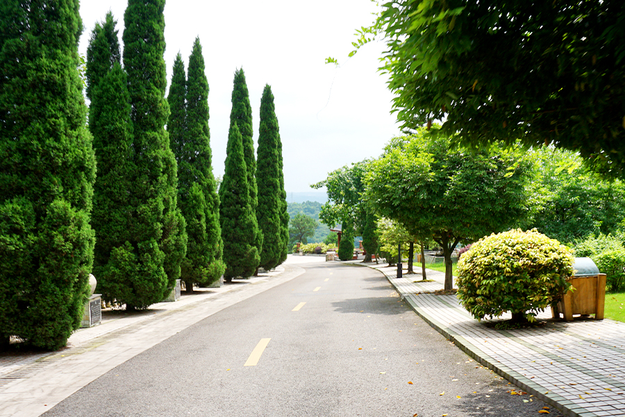 陵园道路环境