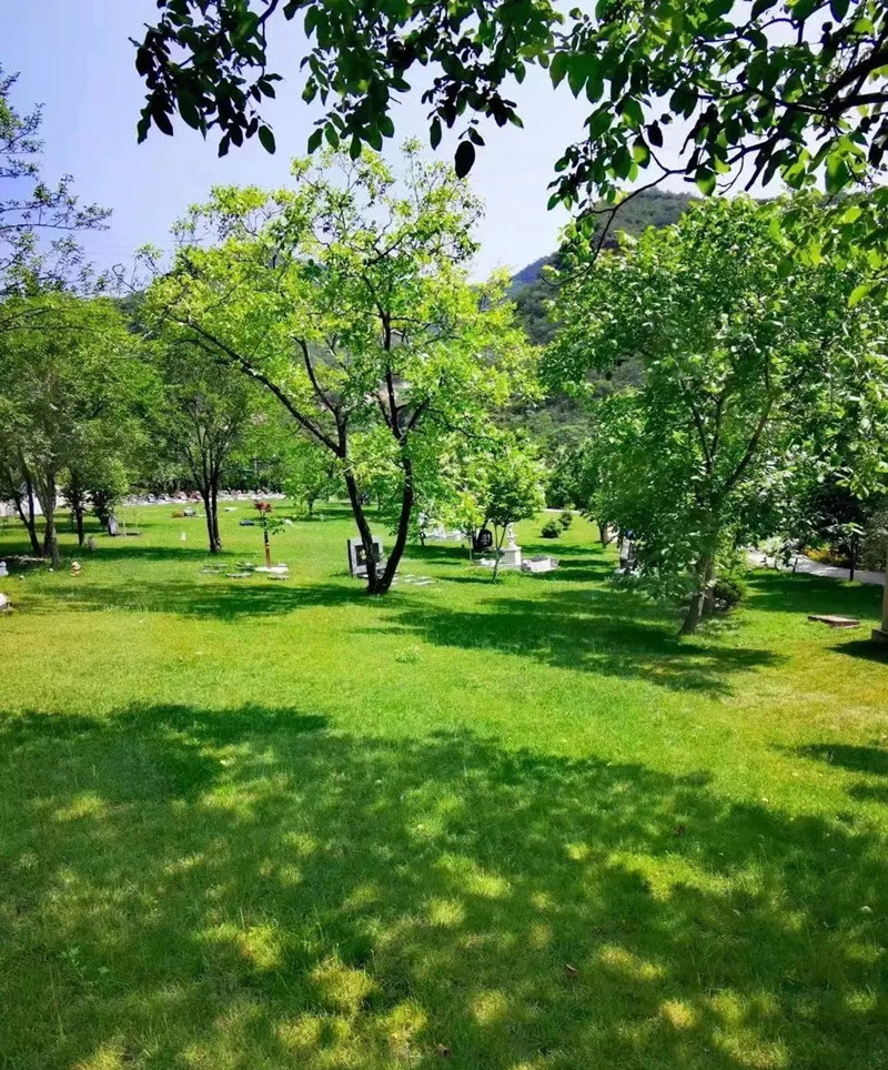 绿化环境