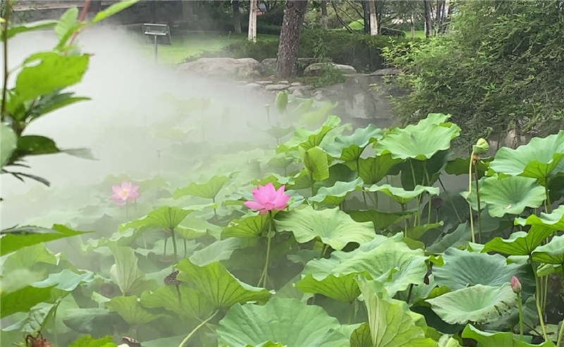 中元节祭扫