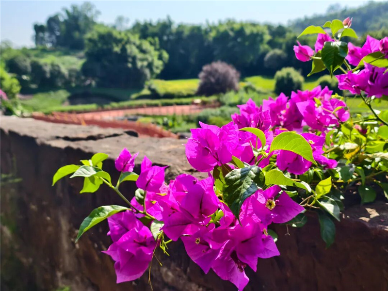花