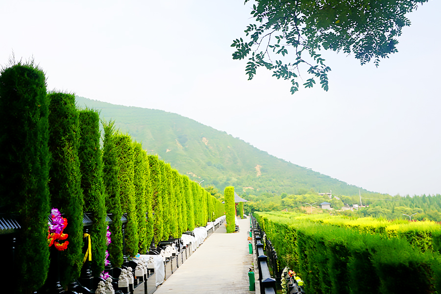霸陵墓区 霸陵墓区