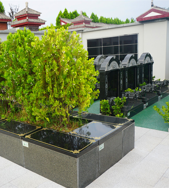 汉皇树葬 汉皇树葬