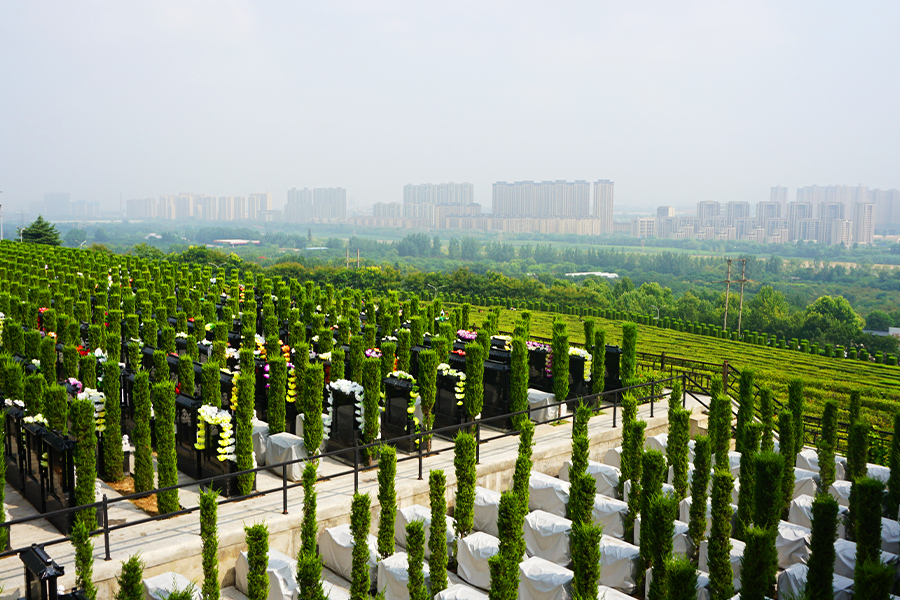 墓区环境 墓区环境