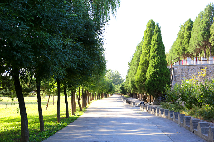 道路风景