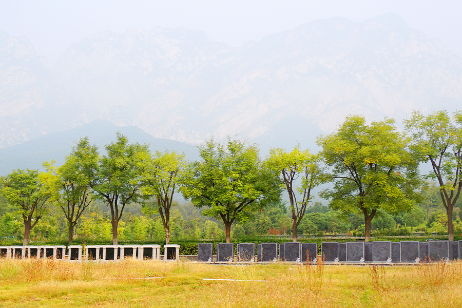 墓区环境 墓区环境