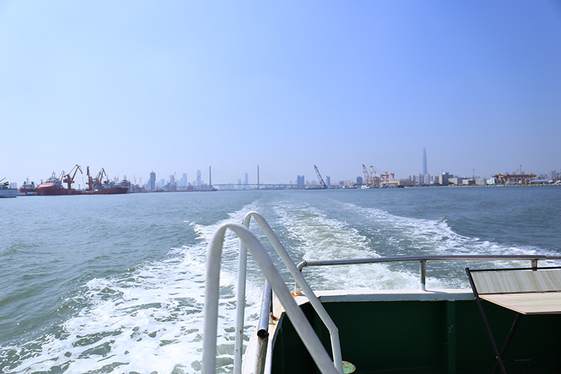 骨灰海撒