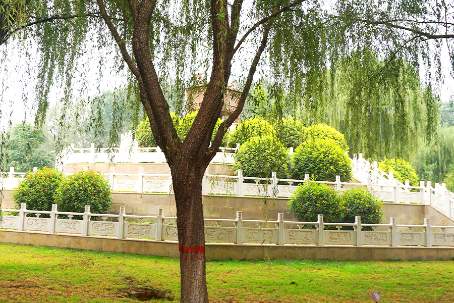 陵园一角 陵园一角
