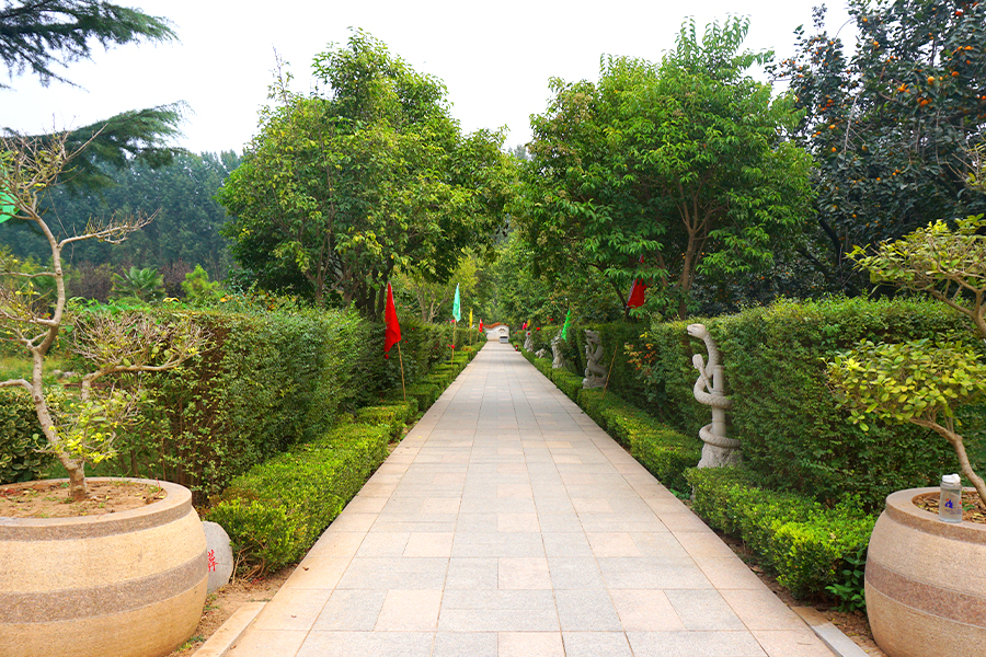 道路风景 道路风景